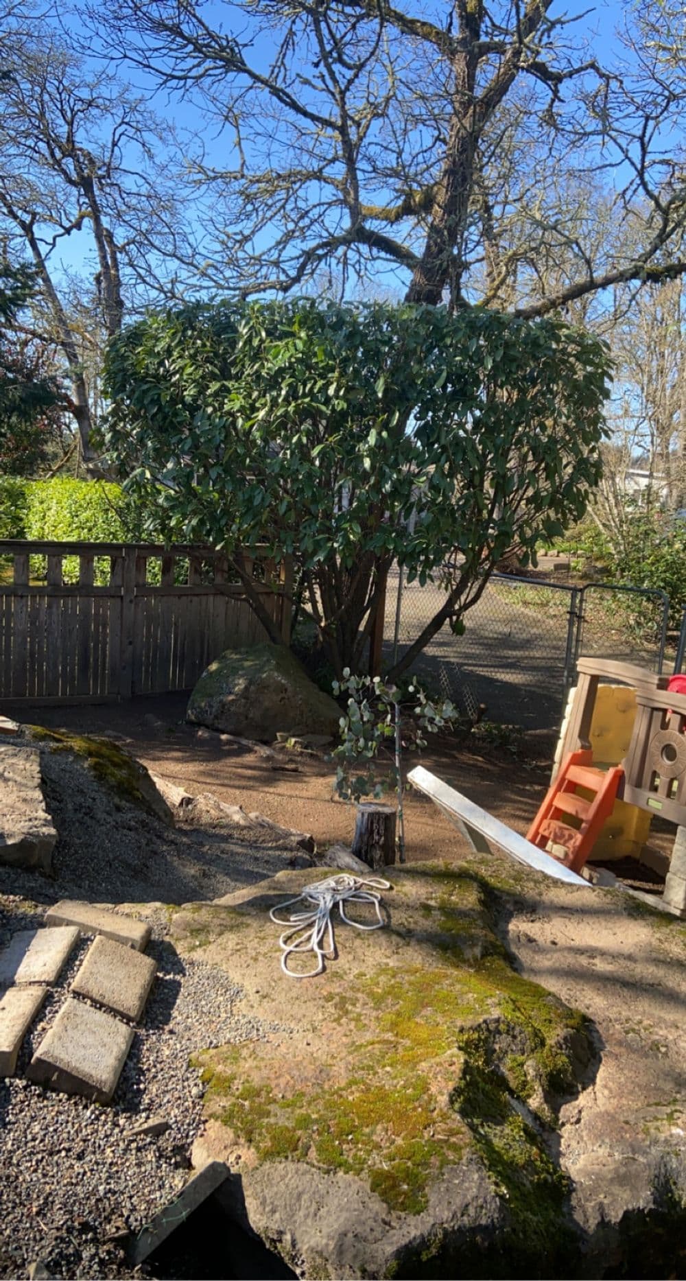 Garden scene with a large tree, rocks, and a play structure under a clear blue sky.