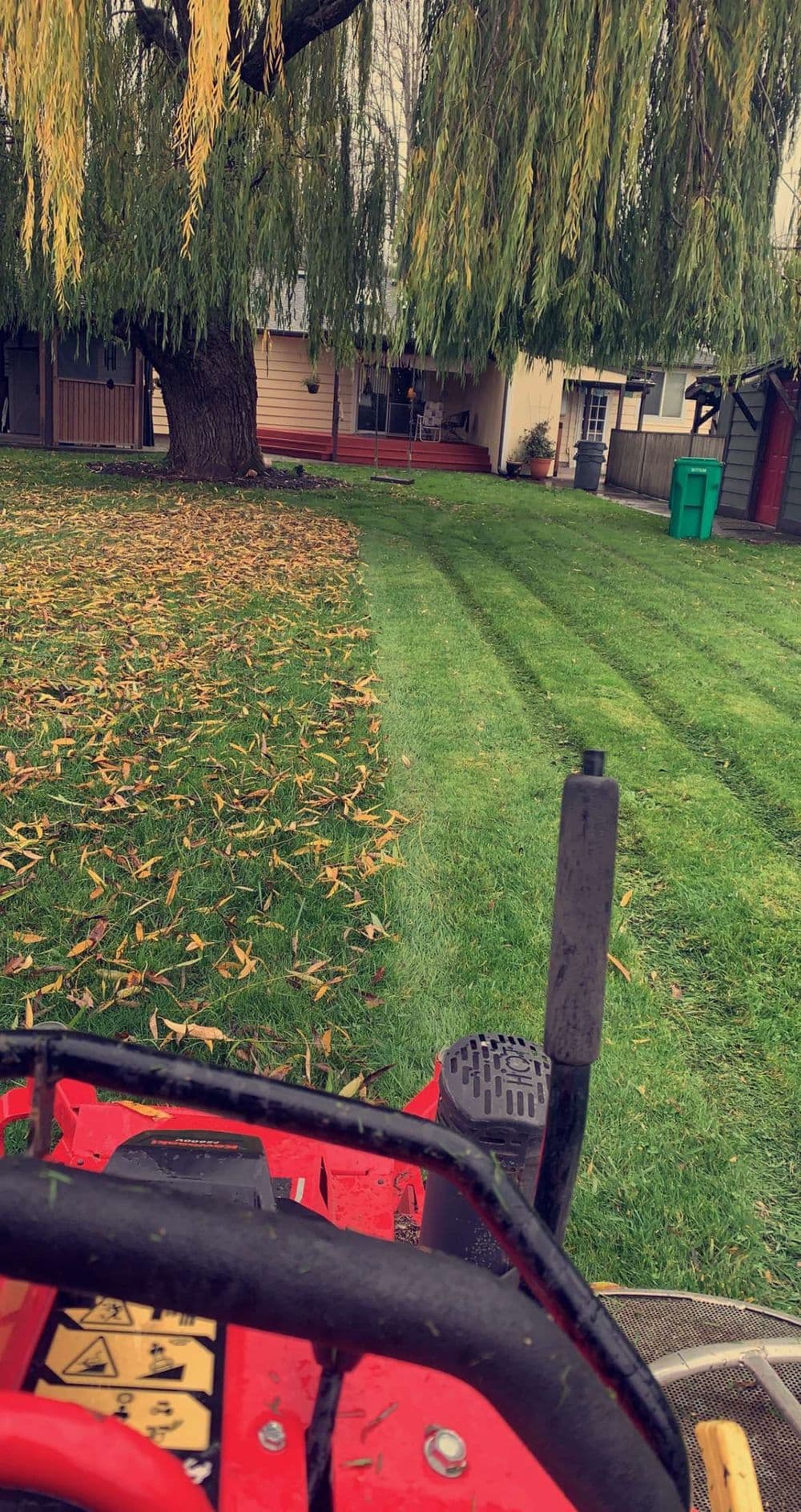 Lawn mower view across freshly cut grass, with a tree and house in the background.