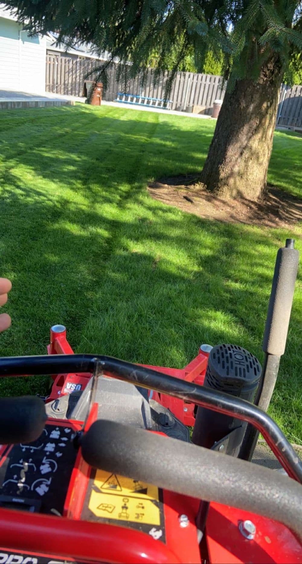 Close-up view of a lawn mower with freshly cut grass, showcasing engine controls and surrounding trees.