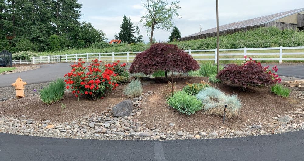 Landscape design featuring vibrant red flowers, Japanese maples, and decorative rocks in a circular garden.