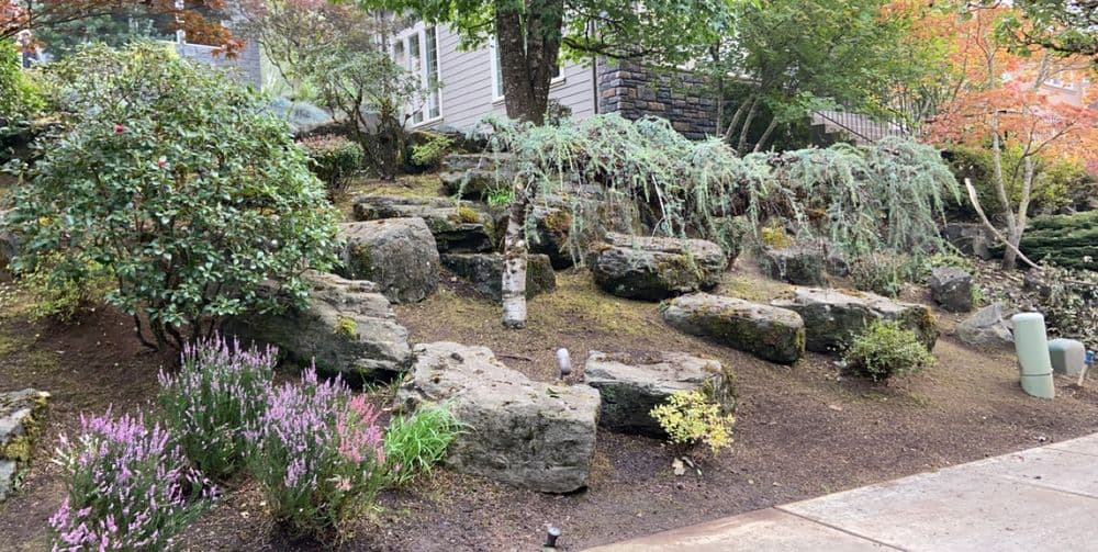 Lush garden with rocky terrain, colorful flowers, and vibrant foliage in a residential area.