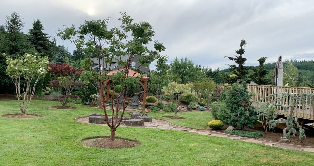 Lush garden with trees, stone path, and wooden deck surrounded by greenery and sculptures.