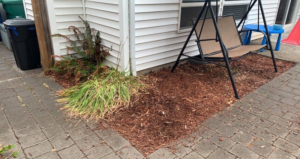 Mulched garden area with a swing chair, plants, and a nearby trash bin.
