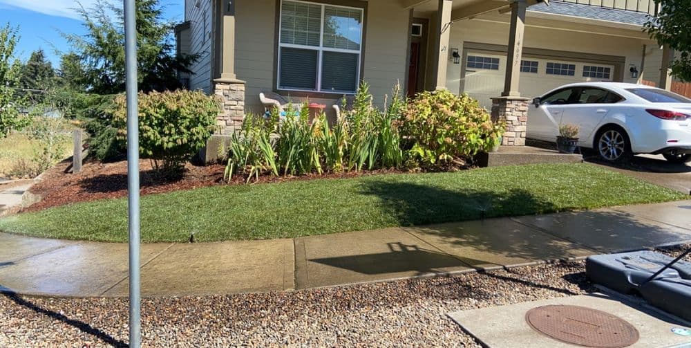 Well-maintained front yard with green grass, blooming flowers, and a car parked nearby.
