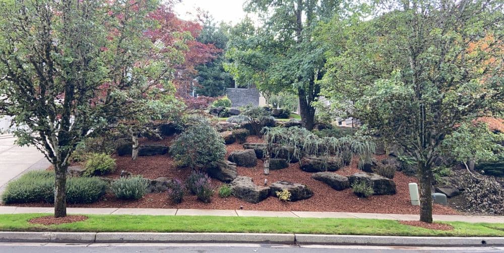Lush landscaped garden with rocks, trees, and colorful shrubs along a sidewalk.