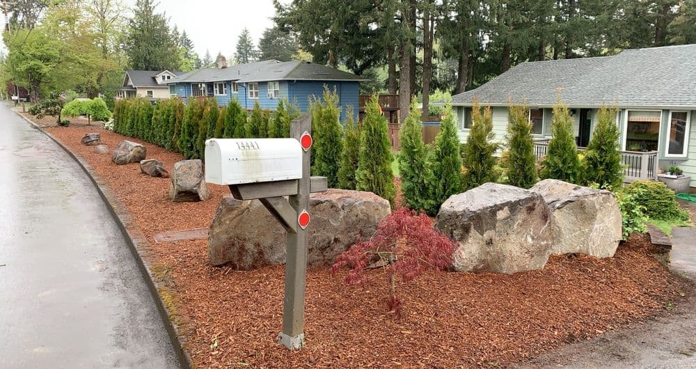 Mailbox on a landscaped street with rocks and evergreen shrubs lining the pathway.