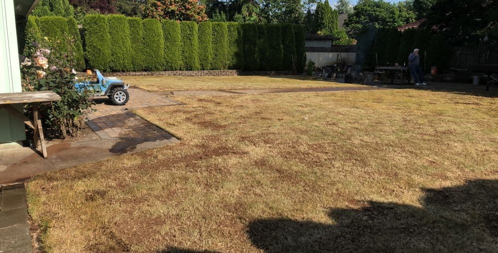 Dry backyard with patchy grass, outdoor toys, and a person working near a table.