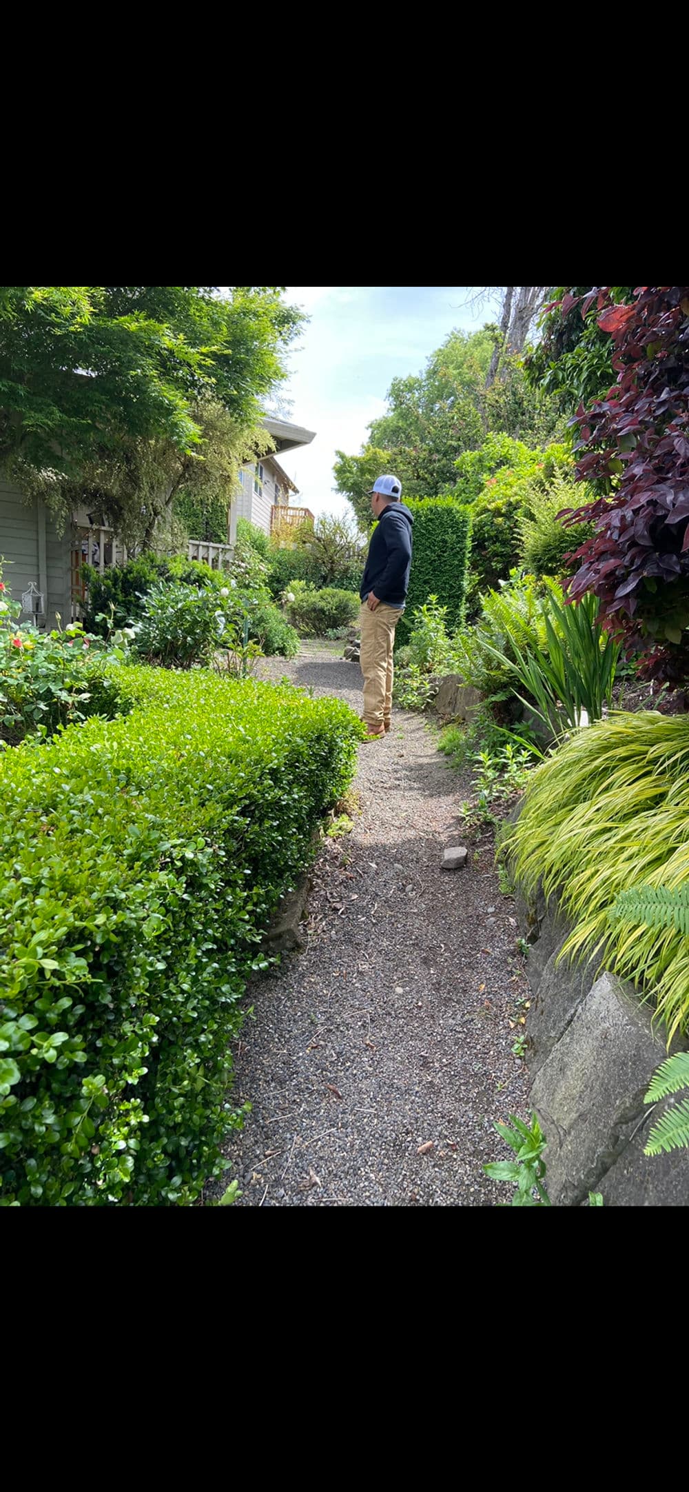 Person standing in a lush garden pathway surrounded by greenery and manicured shrubs.