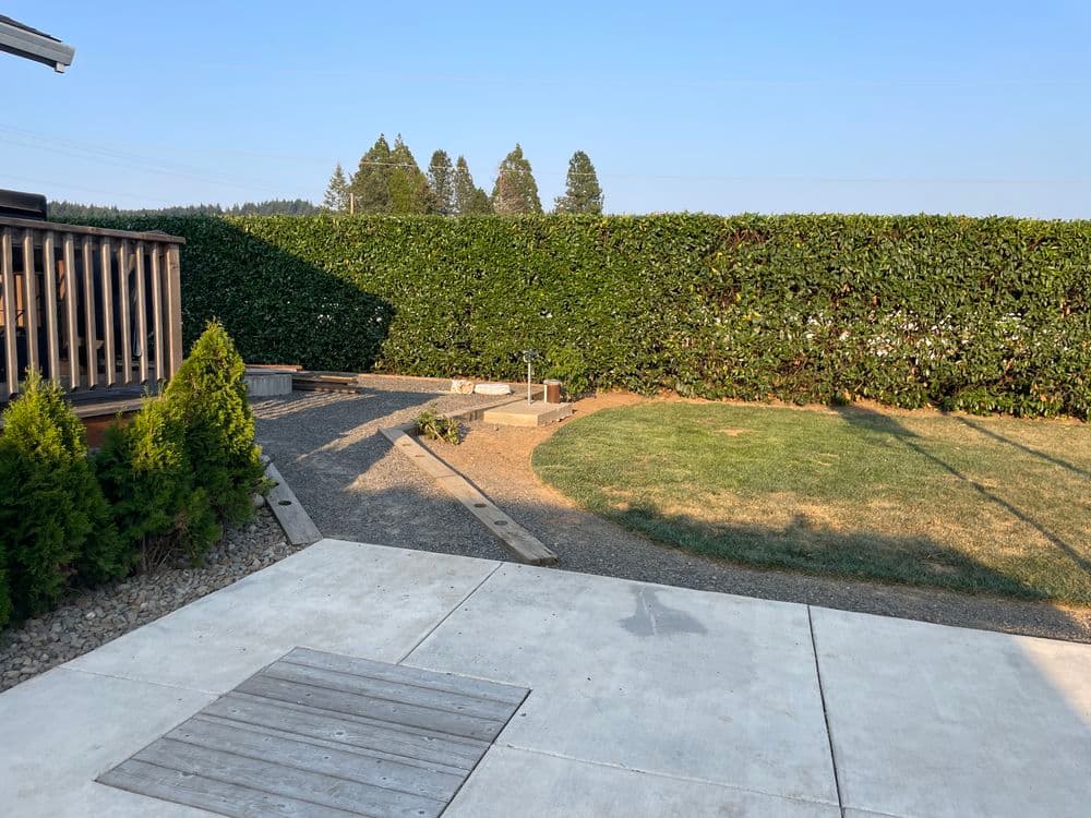 Landscaped backyard with grass, pathways, and greenery under clear blue sky.