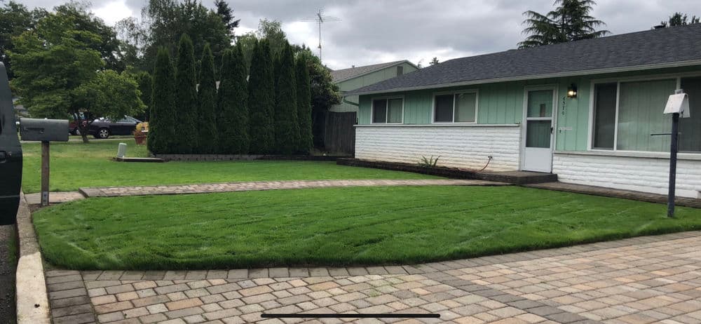 Lush green lawn with brick pathway and modern home exterior in suburban setting.