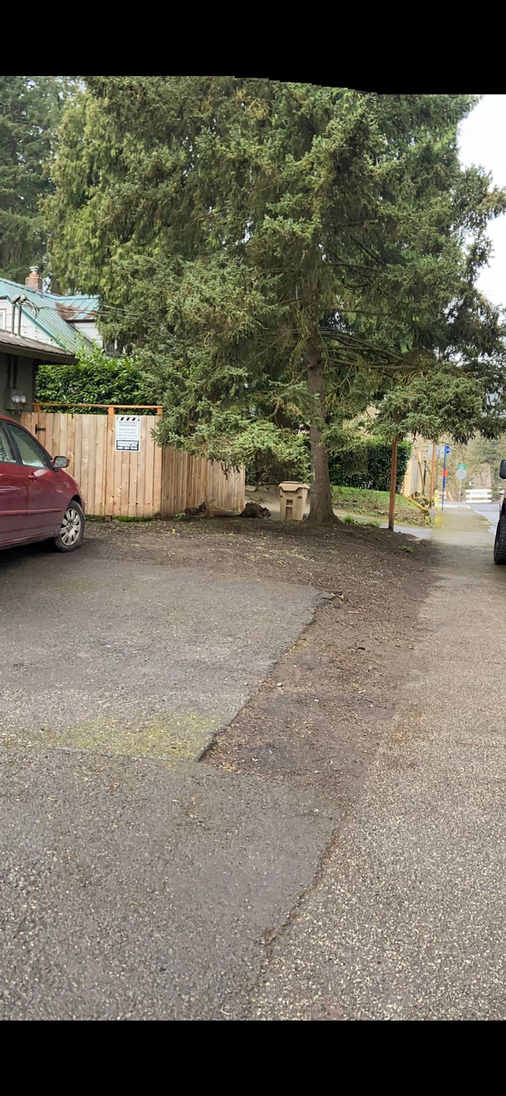 Driveway with parked cars, a tree, and a residential fence in a suburban neighborhood.