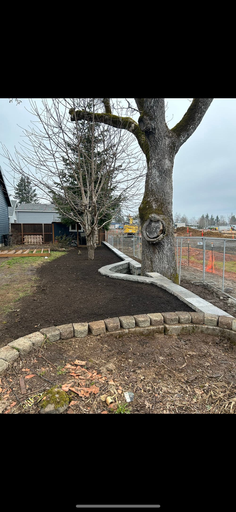 Landscaped yard featuring a mature tree, mulch beds, and stone edging by a construction site.