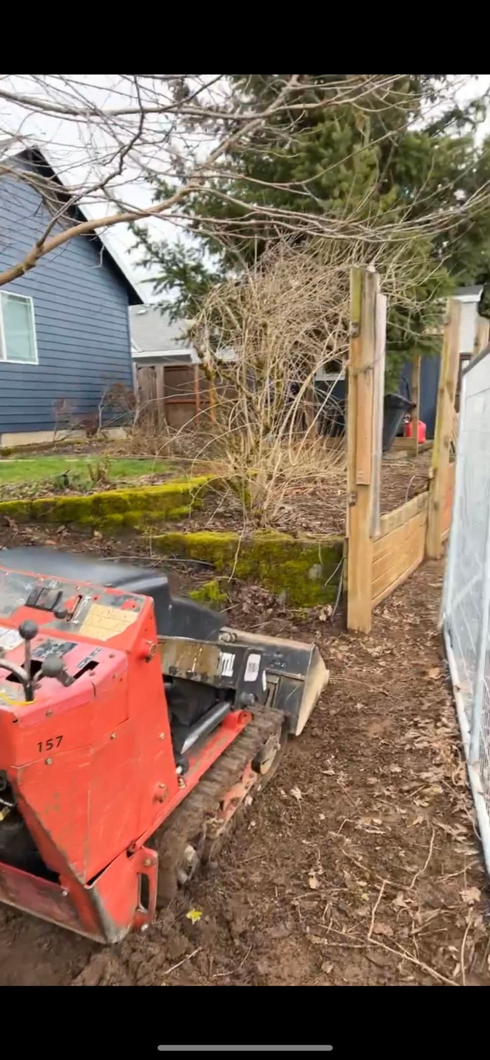 Red landscaping machine near wooden fence and garden area with bare shrubs and moss.