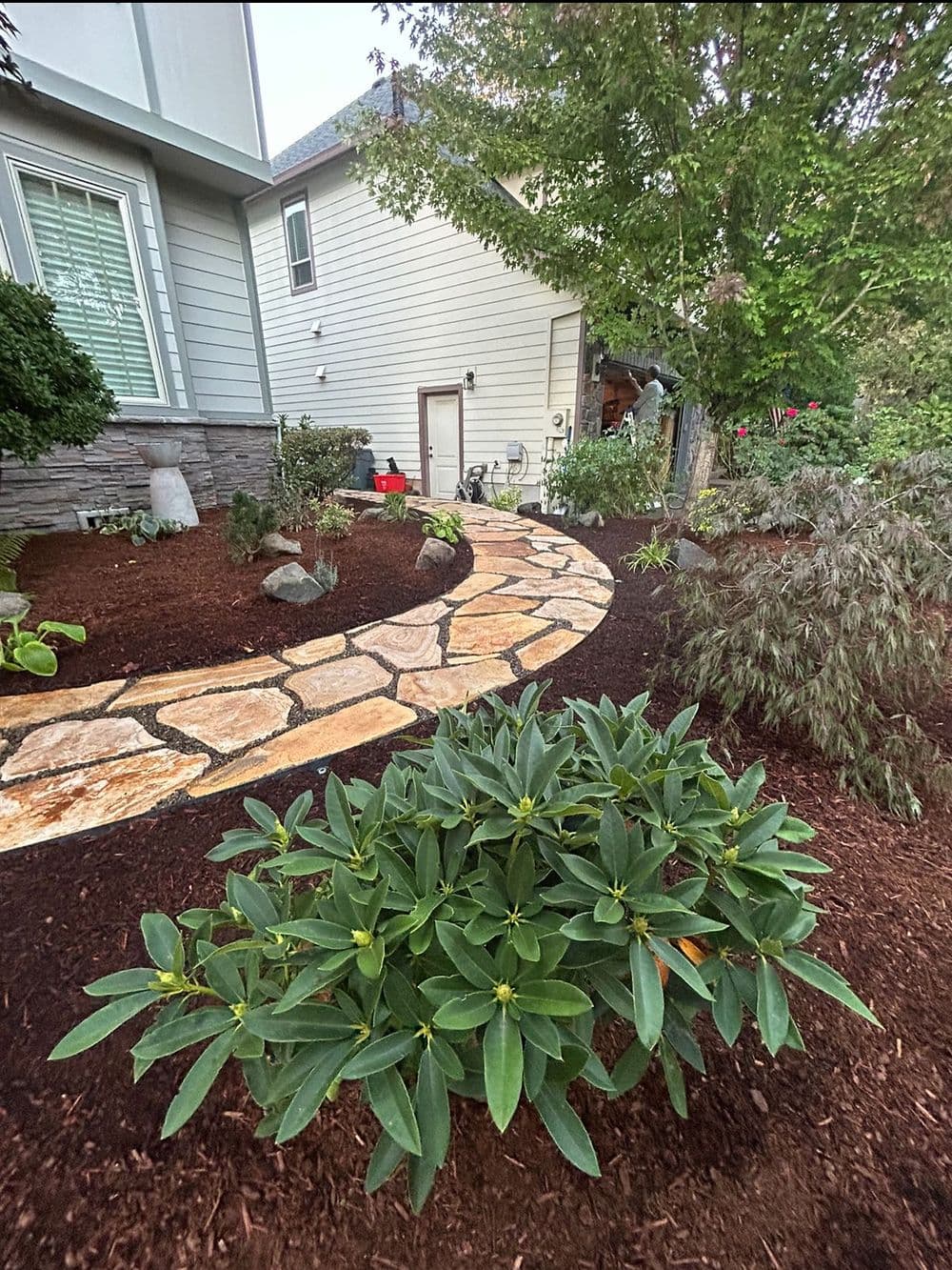 Lush green plants and stone pathway in a well-maintained residential garden.