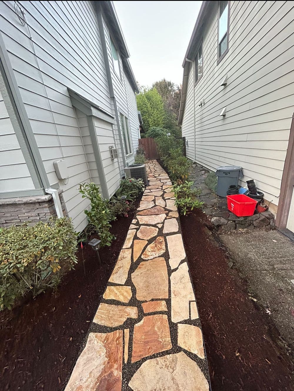 Stone pathway between two houses with landscaped borders and garden details.
