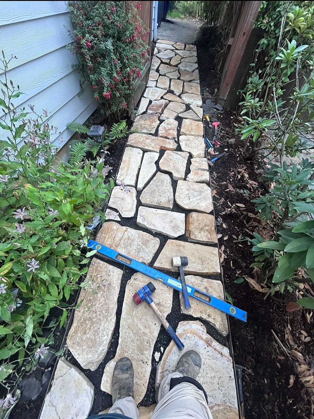 Stone pathway installation with tools, surrounded by greenery and a house exterior.